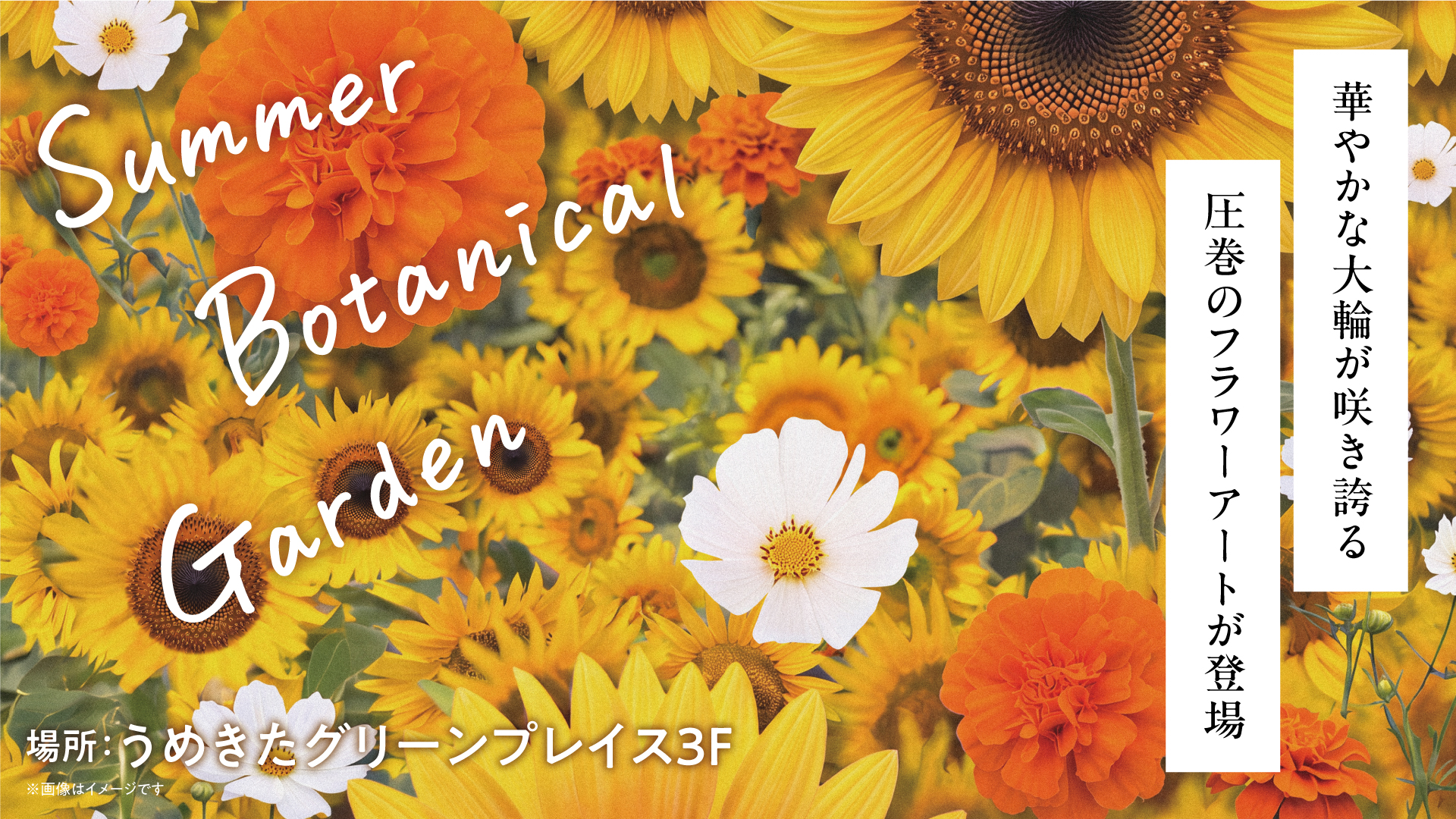 SummerBotanicalGarden
